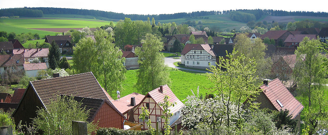 Impression Bergblick - Ein herrlicher Blick vom oberen Stadtweg auf das frische Grün der Ortslage.